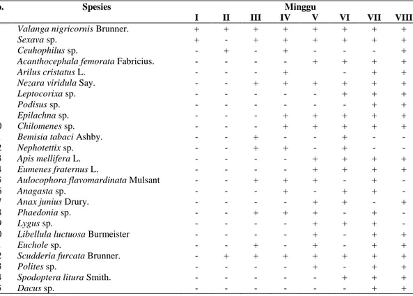 Tabel  2.  Sebaran  serangga-serangga  yang  didapatkan  pada  tanaman  cabai  merah  (Capsicum annum L.),selama 8 minggu