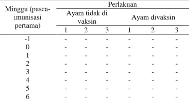 Tabel  1.  Hasil  uji  AGPT  terhadap  IgY  pada  telur  ayam  Minggu  (pasca-imunisasi  pertama)  Perlakuan Ayam tidak di 