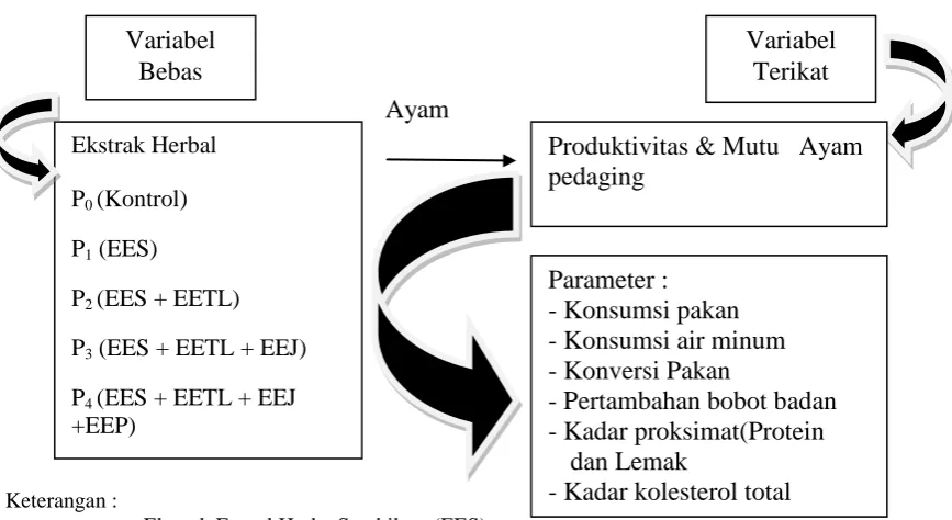 Gambar 1.1, sebagai berikut 