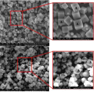 Gambar 4.5  (a) Mikrograf SEM Zeolit-A (b) Zeolit A-karbon 