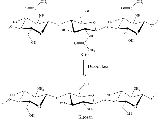 Gambar 2.2 Struktur Kitin dan Kitosan (Siripatrawan, 2016) 