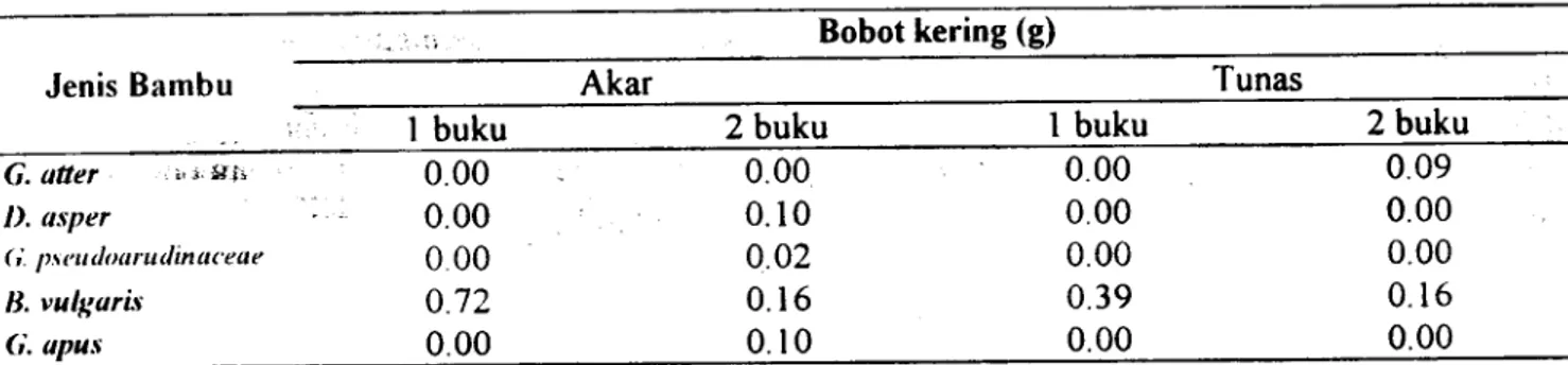 Tabel 3.  Bobot Kering Akar clan Tunas per Setek pada AkhirPengamatan pad a .';;  Jenis Bambu