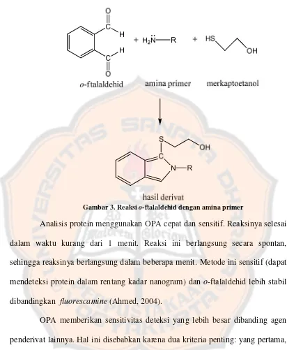 Gambar 3. Reaksi o-ftalaldehid dengan amina primer