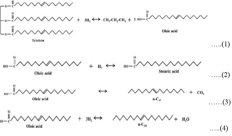 Gambar 2.16 Jalur reaksi selama hidroproses trigliserida, (1) pembentukan asam lemak, (2) hidrogenasi, (3) dekarboksilasi, (4) hidrodeoksigenasi 