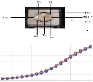 Gambar 5. Monitoring penyebaran panas  yang dihasilkan oleh sumber pemanas P1 P2 P  3 dan P 4 diukur  pada  posisi termokopel (TR 