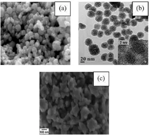 Gambar 1.2. Nanopartikel nikel berbentuk spherical (a), snow ball flower (b), starlike (c) 