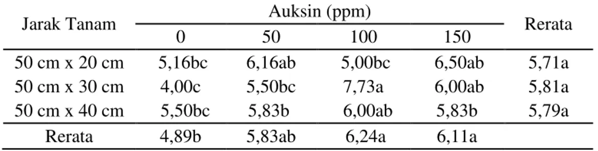 Tabel 1. Pertambahan tinggi tanaman  nanas pada perlakuan jarak  tanam  dan      pemberian  auksin (cm) 