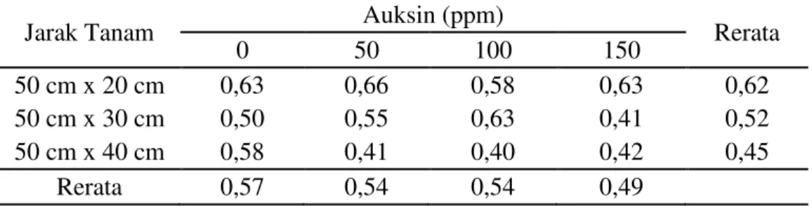 Tabel 4. Pertambahan lebar daun tanaman nanas pada perlakuan jarak tanam  dan pemberian auksin 