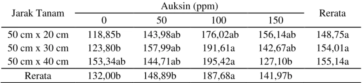 Tabel 5. Berat basah tanaman nanas pada perlakuan jarak tanam dan pemberian  auksin (g) 