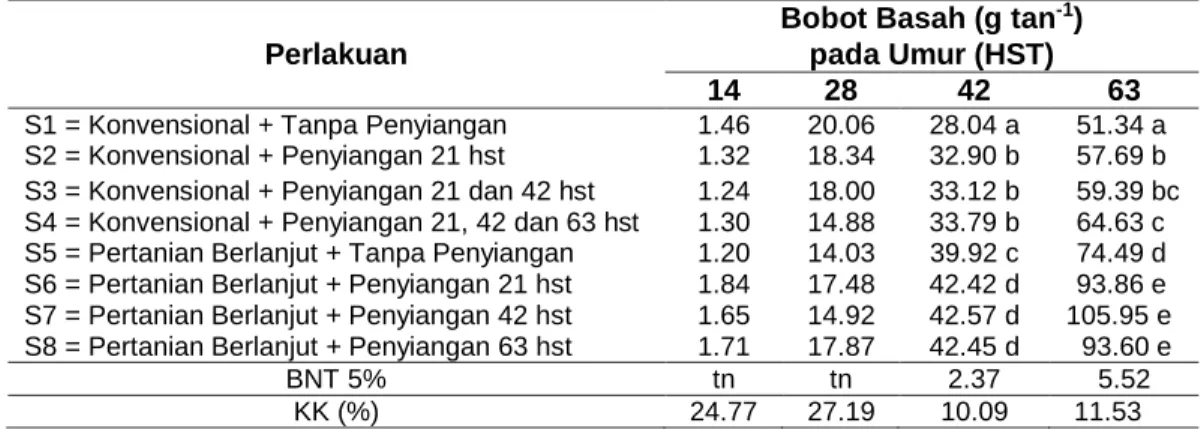 Tabel 5  Rerata Bobot Basah Padi pada Sistem Pertanian dan Waktu Penyiangan yang Berbeda  pada Umur 14-63 HST 
