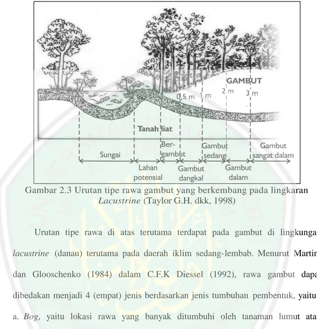 Gambar 2.3 Urutan tipe rawa gambut yang berkembang pada lingkaran  Lacustrine (Taylor G.H