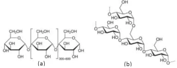 Gambar 2.1 Struktur rantai molekul (a) Amilosa (b) Amilopektin 