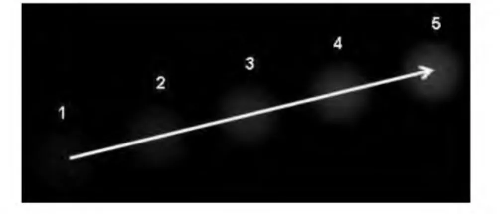 Gambar  1. Pergerakan suatu obyek dengan konsep optical flow 3.3  Grabber