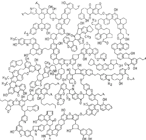 Gambar 2.1 Struktur makromolekul batubara (Shinn, 1984) 