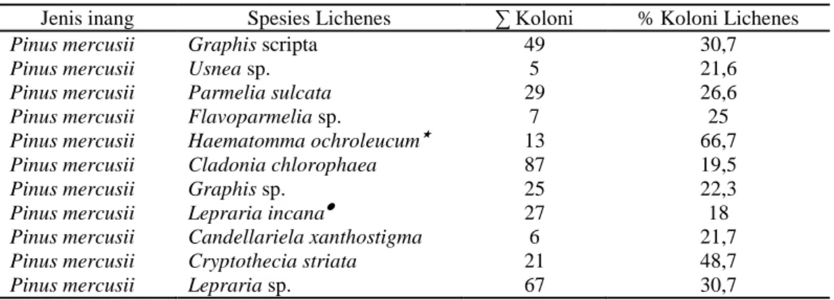 Tabel 1.2 Persentase Koloni Lichenes di Stasiun I 