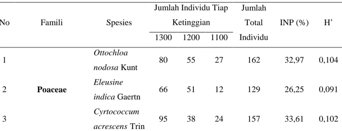 Tabel 1. Rekapitulasi keanekaragaman rumput di bawah tegakan pohon pinus di  Kawasan Hutan Sesepan Bumiayu Brebes Jawa Tengah