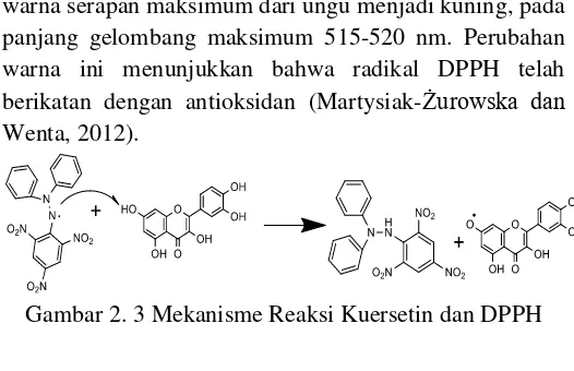 Gambar 2. 3 Mekanisme Reaksi Kuersetin dan DPPH 