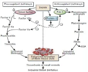 Gambar 2. 3 Patogenesis Trombosis pada Sepsis (Dikutip dari: Cohen J, Nature. 2002;420:19-26) 