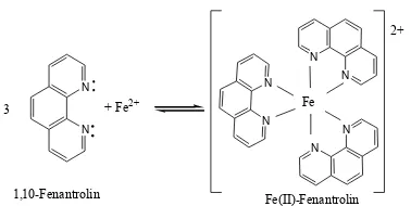 Gambar 2.3 Hibridisasi Kompleks Fe(II)-Fenantrolin  