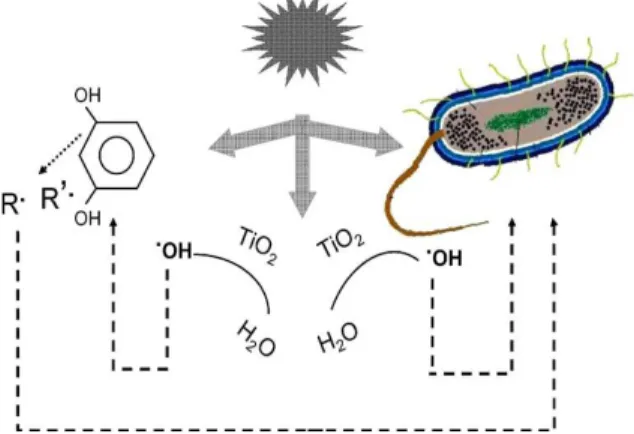 Gambar 1. Mekanisme TiO 2  dalam In- In-aktivasi bakteri setelah terkena sinar UV [8] 
