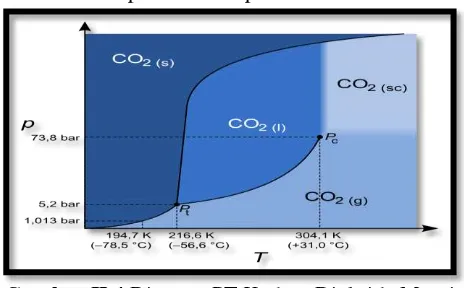 Gambar II.4 Diagram PT Karbon Dioksida Murni 
