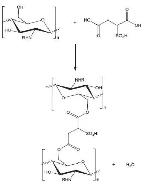 Gambar 2.5 Struktur kimia dari ionisasi cross-link kitosan (Caetano dkk, 2013). 