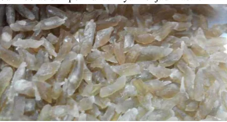 Gambar 4.4 Hasil bulir beras buatan yang telah dioven 