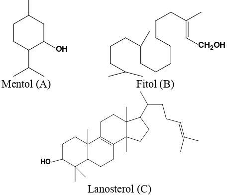 Gambar 2.1 Contoh senyawa terpenoid: monoterpen (A), diterpen  