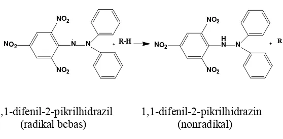 Gambar 2.4 Reaski antioksidan dengan radikal DPPH 