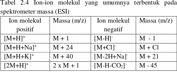Tabel 2.4 Ion-ion molekul yang umumnya terbentuk pada 