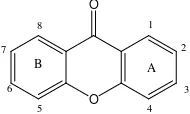 Gambar 2. 1 Kerangka dasar senyawa santon