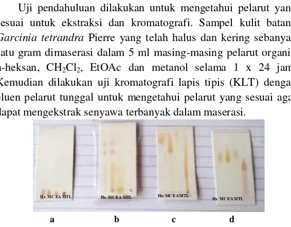 Gambar 4. 1 Kromatogram uji pendahuluan dengan eluen pelaruttunggal a. n-heksan, b.  CH2Cl2, c