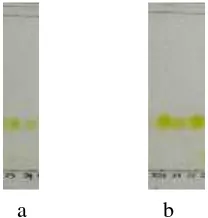 Gambar 4. 4 Kromatogram fraksi gabungan E1-E8 dengan eluen 20%EtOAc : n-Heksan