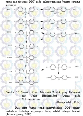 Gambar 2.2 Struktur Kimia Metabolit Produk yang Terbentuk 