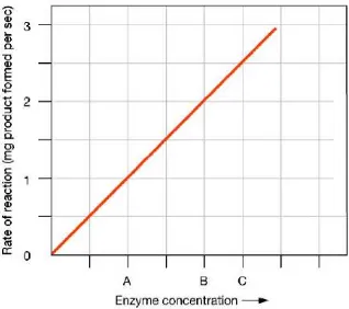 Gambar 2.8 Pengaruh pH lingkungan pada aktivitas enzim. 
