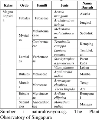 Tabel  3.  Klasifikasi  spesies  tumbuhan  tingkat  herba  yang  ditemukan  di  area  konservasi   kura-kura M