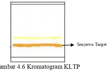 Gambar 4.5 Kromatogram KLT dengan eluen kloroform :  metanol (80:20) hasil rekristalisasi dengan pelarut n-heksana dan aseton 