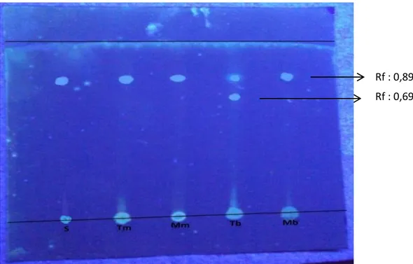 Gambar  2.  Kromatogram  hasil  kromatografi  lapis  tipis  pemisahan  ekstrak  TBT  pada  tubuh gastropoda Thais sp