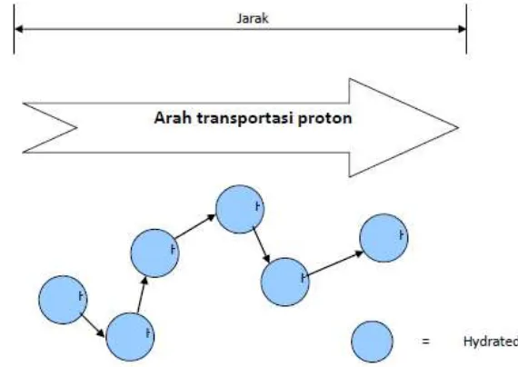 Gambar 2.3 Arah Transpor Proton Melalui Difusi Larutan Bebas (Dhuhita dkk., 2010) 