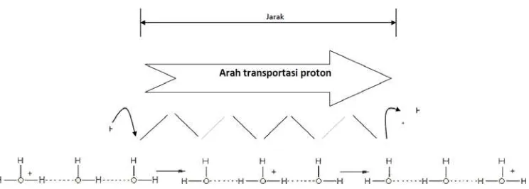 Gambar 2.4 Arah Transpor Proton Melalui Mekanisme Grotthus Modifikasi dari Dhuhita dkk