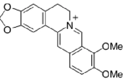 Gambar 2.2 Struktur kimia senyawa Berberin (Grycova dkk., 2007) 