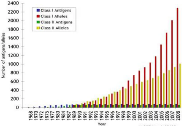 Gambar 4. Jumlah Antigen dan Alel pada HLA Kelas I dan II  dari Tahun 1968-2008 9