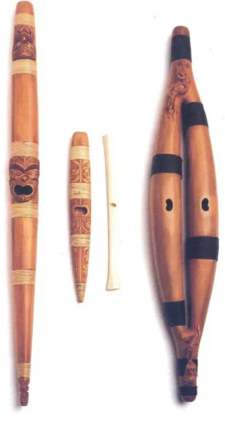 Figure 1.0: Examples of pūtōrino. 