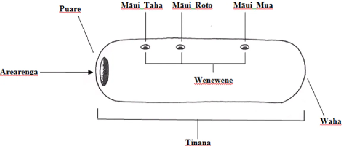 Figure 1.3: Diagram showing the generic names of parts of the kōauau 