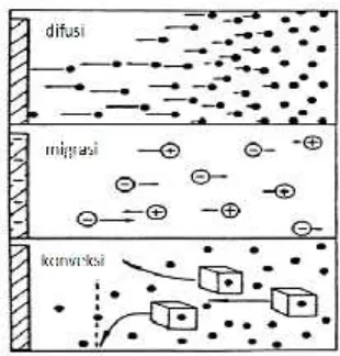 Gambar 2.2. Ilustrasi perpindahan massa (Wang, 2006)