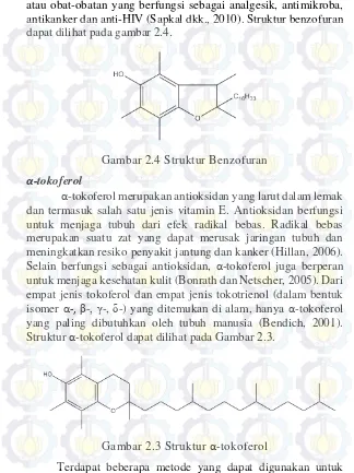 Gambar 2.4 Struktur Benzofuran 