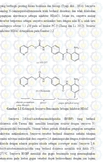 Gambar 2.2 Kelompok Senyawa Benzamida Sebagai Inhibitor HDAC 