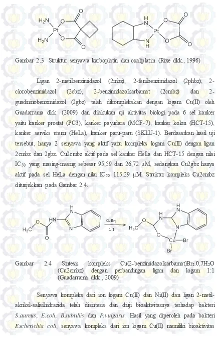 Gambar 2.3   Struktur senyawa karboplatin dan oxaliplatin (Rixe dkk., 1996) 