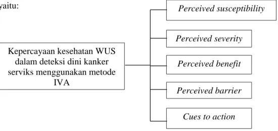 Gambar 3. Kerangka Konsep Penelitian Kepercayaan kesehatan WUS 