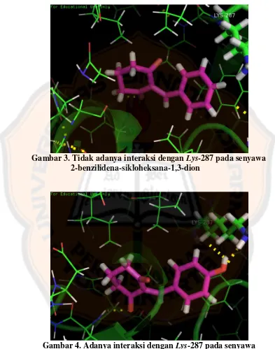 Gambar 4. Adanya interaksi dengan  Lys-287 pada senyawa        2-(4ꞌ-hidroksibenzilidena)-sikloheksana-1,3-dion 